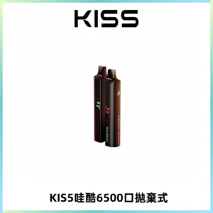 KIS5WAGOO哇酷6500口拋棄式 | 自由混搭雙口味 | 雙芯組合