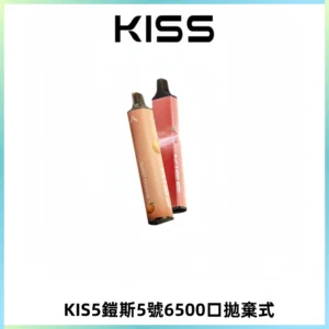 KIS5鎧斯5號一次性6500口磁吸式拋棄式電子煙#自由混搭#
